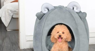 Chuồng vải bông cho chó- NGUYỄN THANH PHƯƠNG