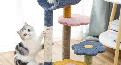 Trụ cào móng nhiều tầng cho mèo - Hoàng Hải Phương