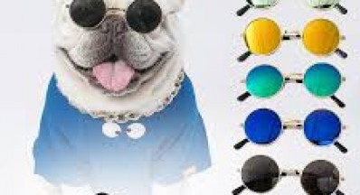 mắt kính thời trang dành cho chó mèo-dang trung kien