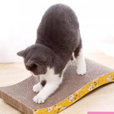 Bàn cào móng cho mèo