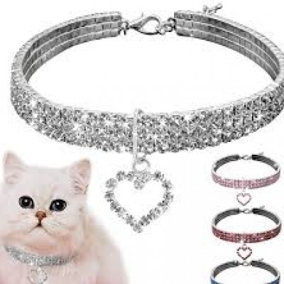 vòng cổ cho chó mèo
