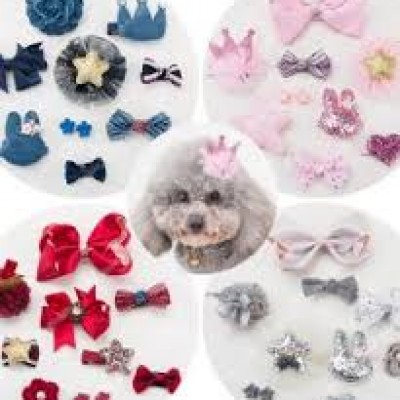 kẹp và nơ dành cho chó mèo