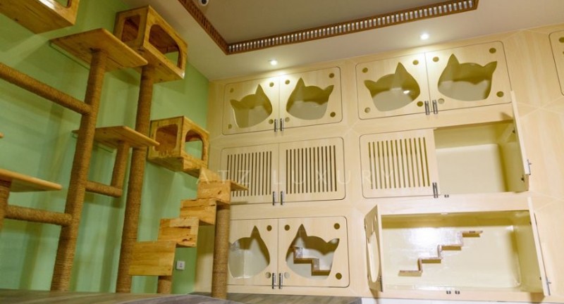 Pet Shop-Dang Trung Kien