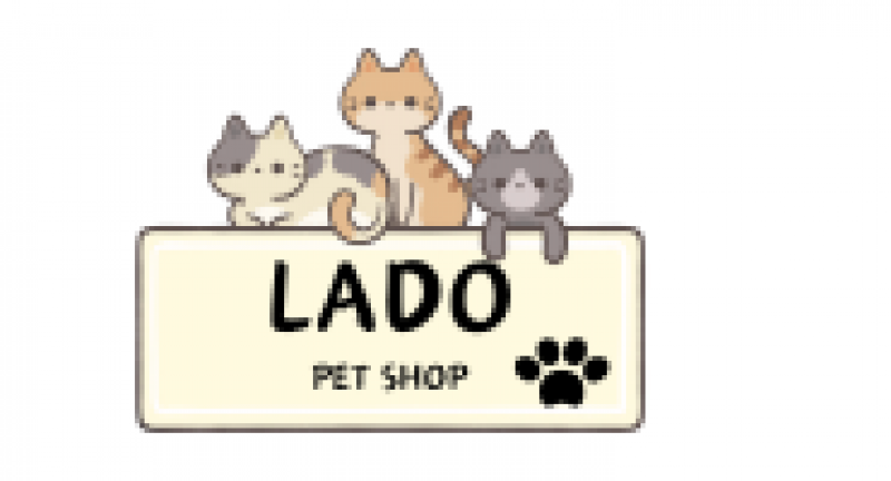 Lado-Thiên đường cho thú cưng của bạn Hoàng Hải Phương