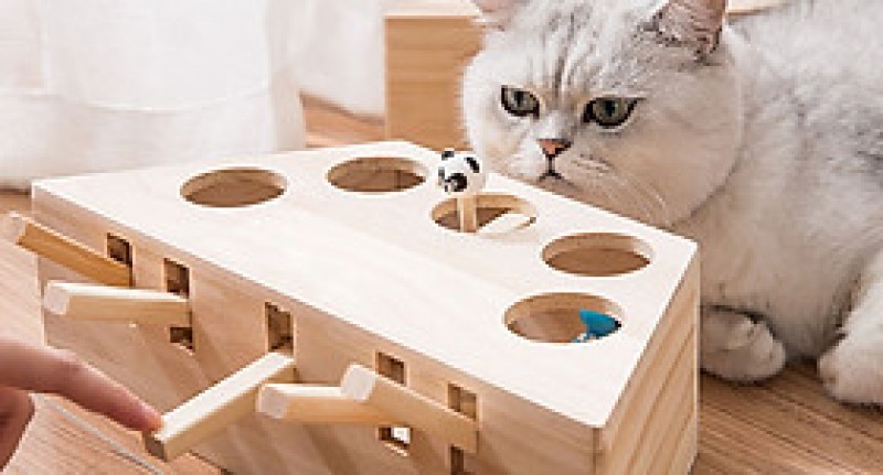 Hộp Đồ Chơi Đập Chuột Bằng Gỗ Vui Nhộn Cho Mèo - Hoàng Hải Phương