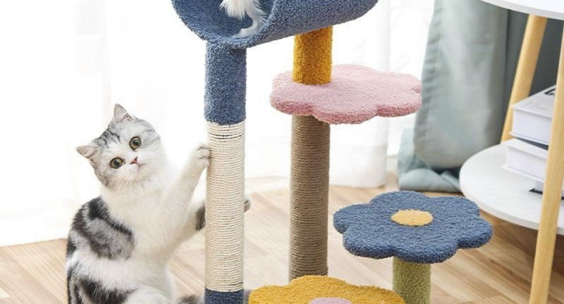Trụ cào móng nhiều tầng cho mèo - Hoàng Hải Phương