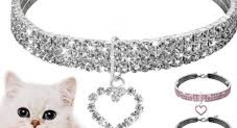 Vòng cổ thời trang cho chó mèo-dang trung kien