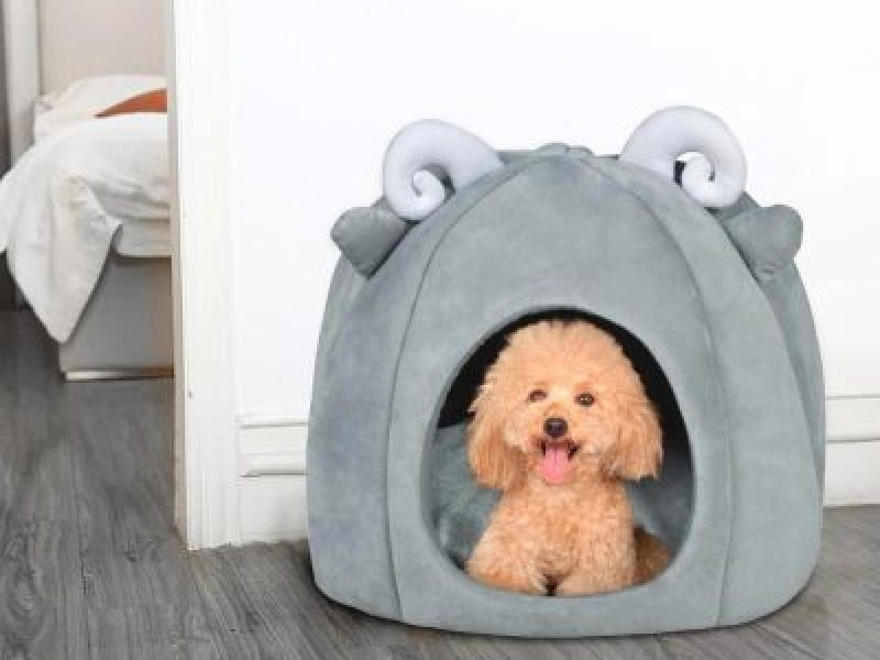 Chuồng vải bông cho chó- NGUYỄN THANH PHƯƠNG