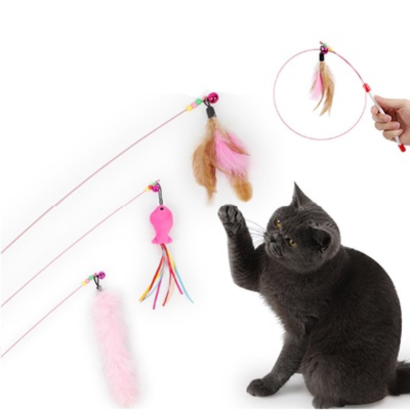 Cần câu mèo bằng kẽm