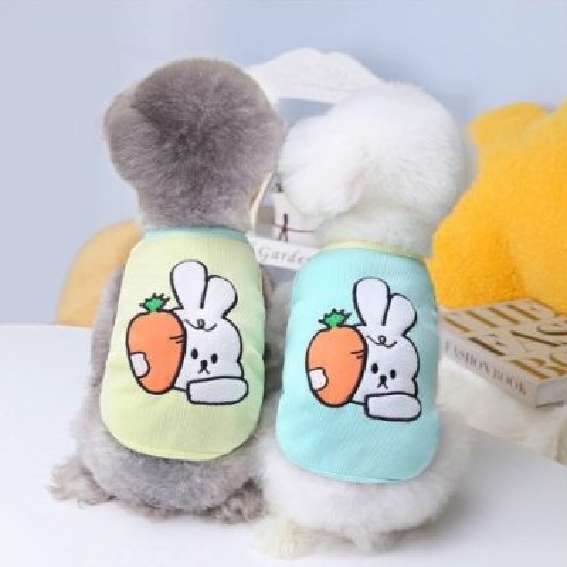 Áo cộc tay thỏ carrot - NGUYỄN THANH PHƯƠNG