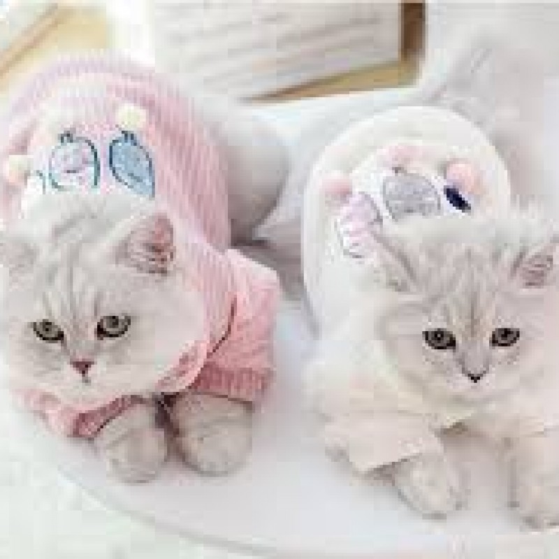 quần áo dành cho chó mèo